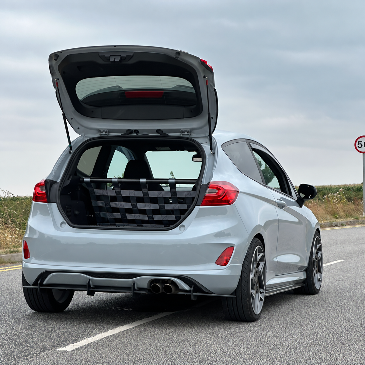 Ford Fiesta Mk8 with bar and cargo net installed; photo lightly retouched for net visibility.